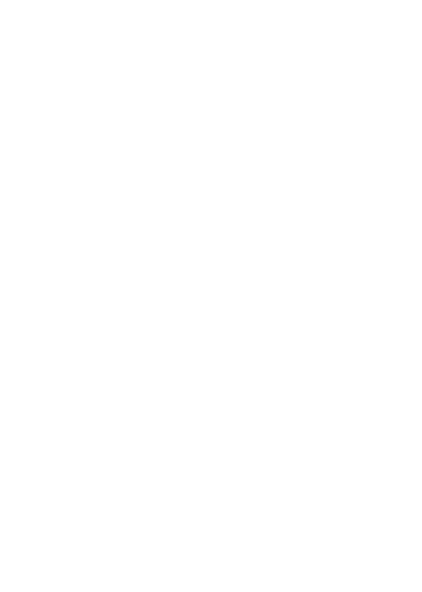 Lion Media